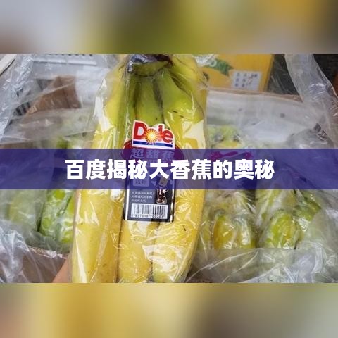 百度揭秘大香蕉的奥秘