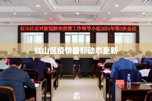红山区疫情最新动态更新