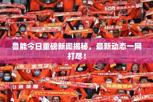 鲁能今日重磅新闻揭秘，最新动态一网打尽！