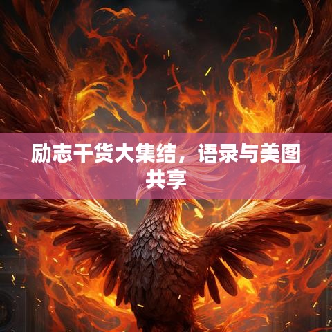 励志干货大集结，语录与美图共享