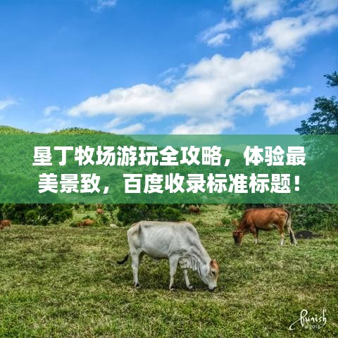 垦丁牧场游玩全攻略，体验最美景致，百度收录标准标题！