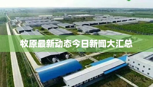 牧原最新动态今日新闻大汇总