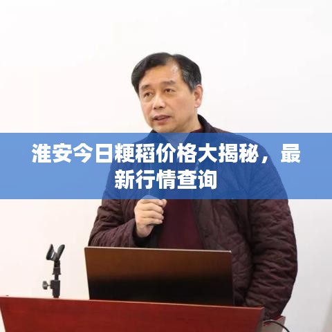 淮安今日粳稻价格大揭秘，最新行情查询