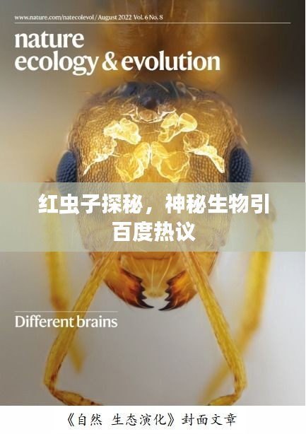 红虫子探秘，神秘生物引百度热议