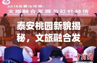 泰安桃园新貌揭秘，文旅融合发展的最新动态新闻头条