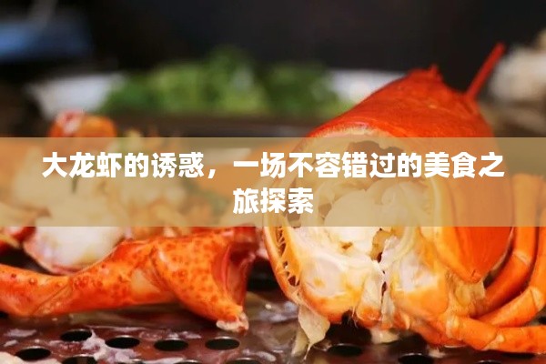 大龙虾的诱惑，一场不容错过的美食之旅探索