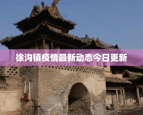 徐沟镇疫情最新动态今日更新