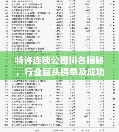 特许连锁公司排名揭秘，行业巨头榜单及成功秘诀大揭秘