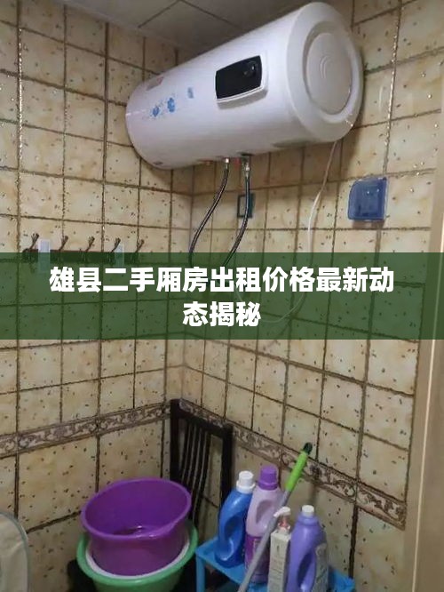 雄县二手厢房出租价格最新动态揭秘