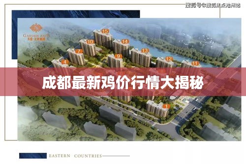 成都最新鸡价行情大揭秘