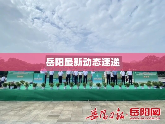 岳阳最新动态速递