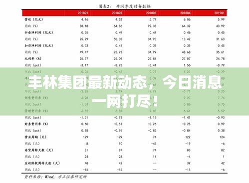 丰林集团最新动态，今日消息一网打尽！