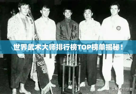世界武术大师排行榜TOP榜单揭秘！