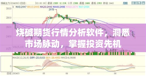 烧碱期货行情分析软件，洞悉市场脉动，掌握投资先机
