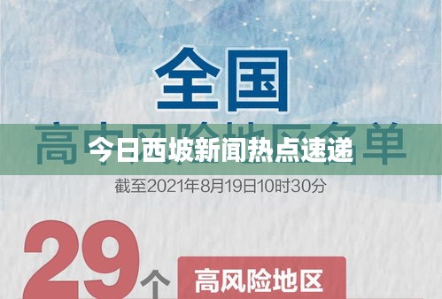 今日西坡新闻热点速递