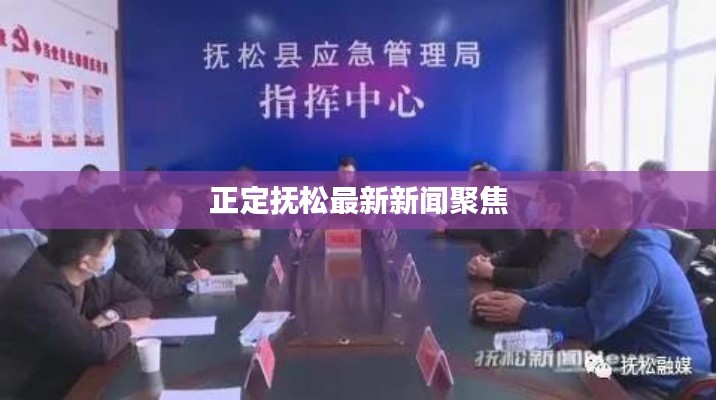 正定抚松最新新闻聚焦