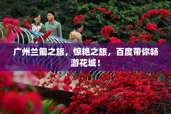 广州兰匍之旅，惊艳之旅，百度带你畅游花城！