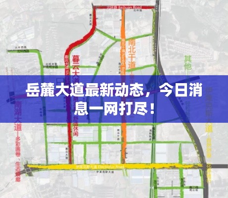 岳麓大道最新动态，今日消息一网打尽！