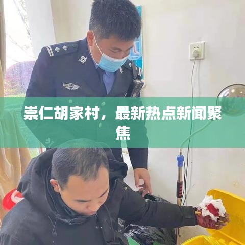 崇仁胡家村，最新热点新闻聚焦