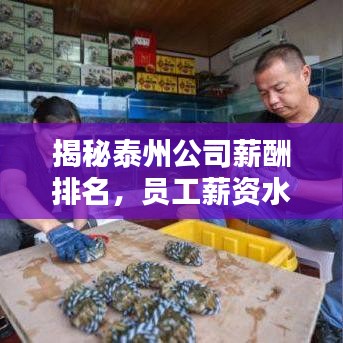 揭秘泰州公司薪酬排名，员工薪资水平大揭秘！