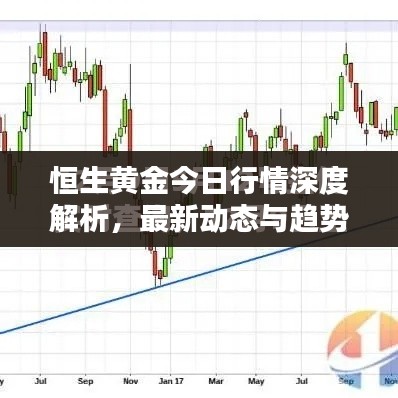 恒生黄金今日行情深度解析，最新动态与趋势预测