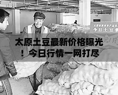 张狂妄行 第2页