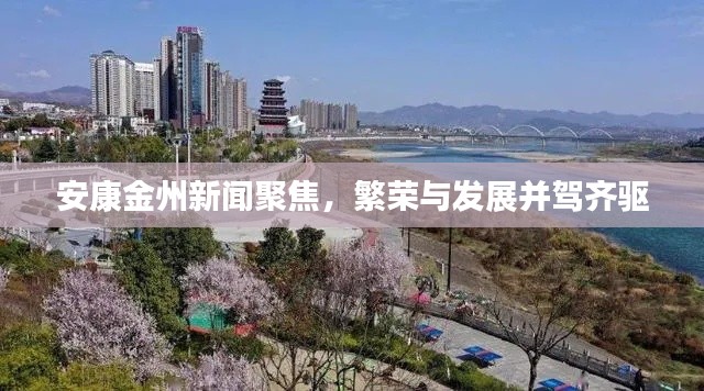 安康金州新闻聚焦，繁荣与发展并驾齐驱