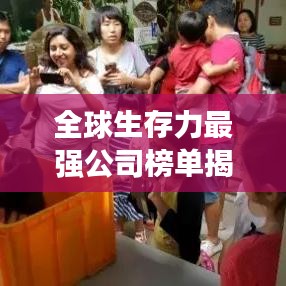 全球生存力最强公司榜单揭秘，探寻持续竞争力企业的核心奥秘