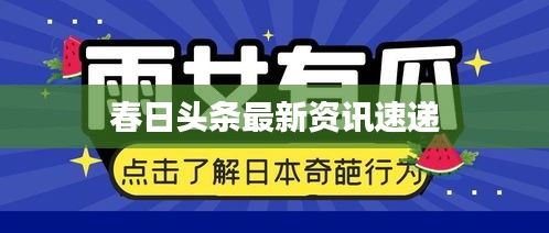 春日头条最新资讯速递