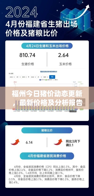 福州今日猪价动态更新，最新价格及分析报告