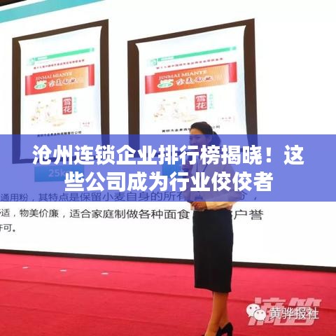 沧州连锁企业排行榜揭晓！这些公司成为行业佼佼者