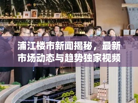 浦江楼市新闻揭秘，最新市场动态与趋势独家视频报道