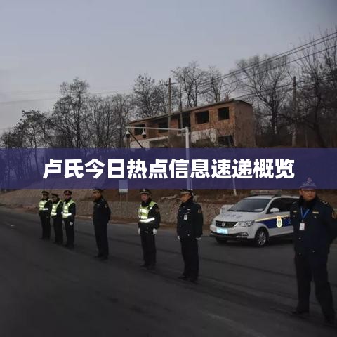 卢氏今日热点信息速递概览