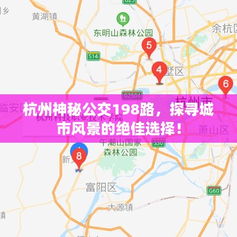 杭州神秘公交198路，探寻城市风景的绝佳选择！