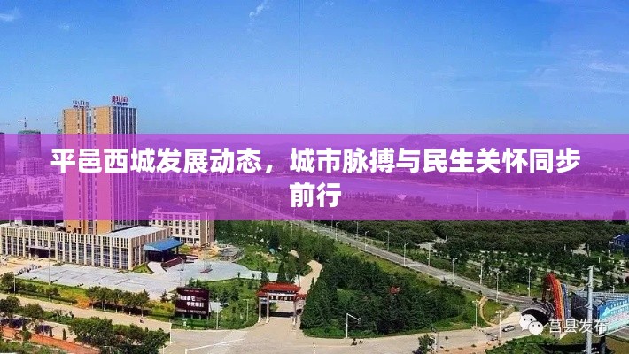 平邑西城发展动态，城市脉搏与民生关怀同步前行