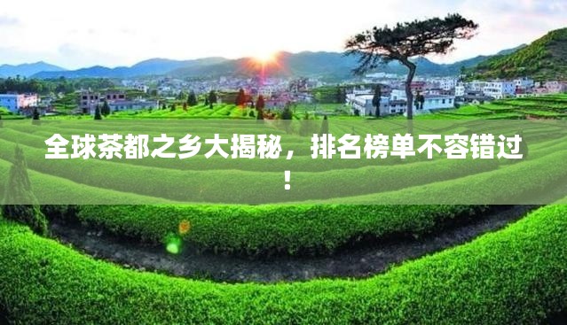 下马看花 第2页