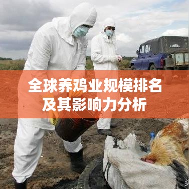 全球养鸡业规模排名及其影响力分析