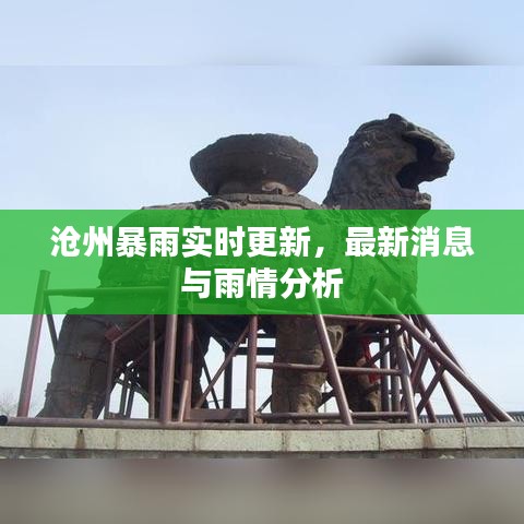 沧州暴雨实时更新，最新消息与雨情分析