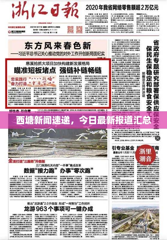 西塘新闻速递，今日最新报道汇总