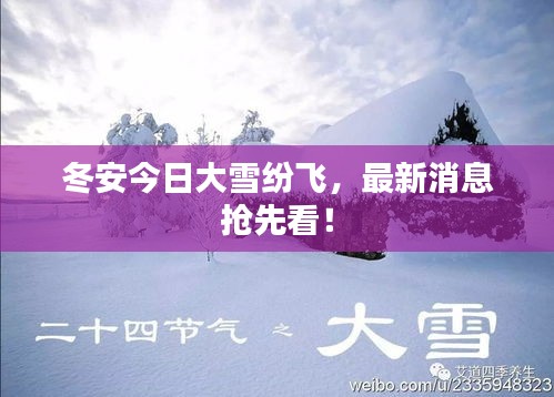 冬安今日大雪纷飞，最新消息抢先看！