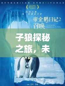 子狼探秘之旅，未知世界的百度指南