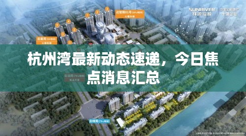 杭州湾最新动态速递，今日焦点消息汇总