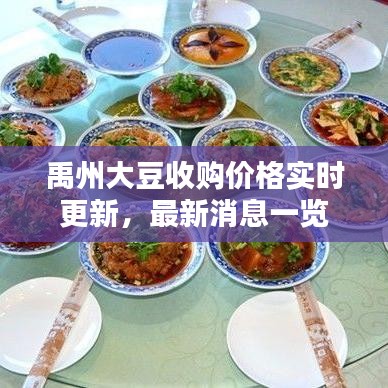 禹州大豆收购价格实时更新，最新消息一览