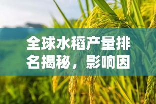 全球水稻产量排名揭秘，影响因素大盘点！