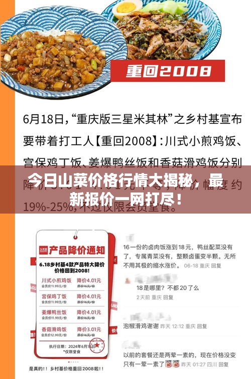神采飞扬 第2页