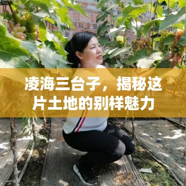 凌海三台子，揭秘这片土地的别样魅力