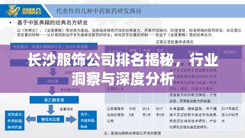 长沙服饰公司排名揭秘，行业洞察与深度分析