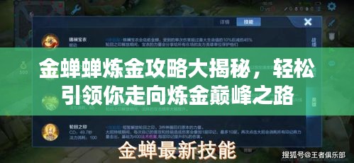 金蝉蝉炼金攻略大揭秘，轻松引领你走向炼金巅峰之路