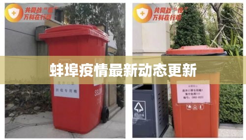蚌埠疫情最新动态更新