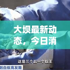 大坝最新动态，今日消息全揭秘